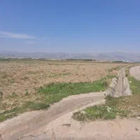 2-هکتاری-صحرای-شاهکندی-زیاران