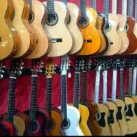 گیتار پارسی تک و عمده مستقیم از تولیدی