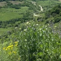 زمینی در روستایی دیزیجان