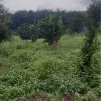زمین-مسکونی