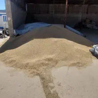 جو روس