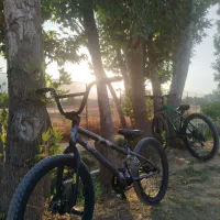 دوچرخه BMX حرفه ای