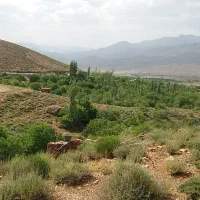فروش زمین مسکونی در مرکز شهرسلردوئیه