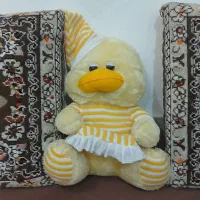 عروسک سالم