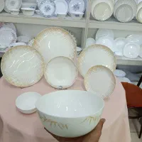 سرویس آرکوپال شرکت مقصود،دینو،گلدن اوپال،پارس پال