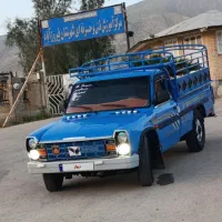 زامیاد نیسان 401گاز سیمی