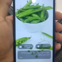 ردمی9c