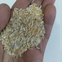 برنج ایرانی