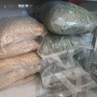 پلت یونجه پوشال خوکچه خرگوش