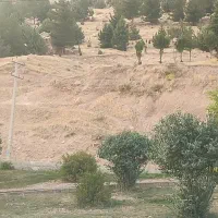زمین185متری-دو-کله