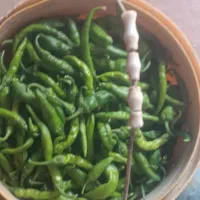 فلفل‌‌سبز‌تازه‌‌و‌عالی