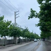 ۳۰۱متر زمین رادیودریا