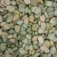 باقله امسال