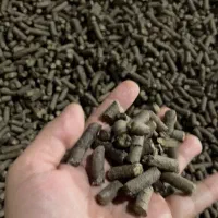 خوراک دام کنسانتره دامی