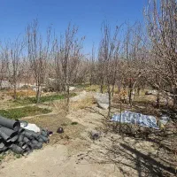 باغ-اتشگاه