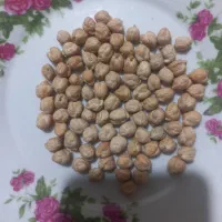 نخود بهاره