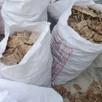 نون خشک تمیز فروشی