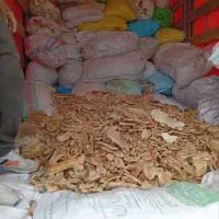 ضایعات نان خشک