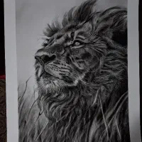 تابلو شیر به سبک سیاه قلم