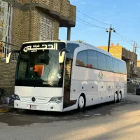 سرو همیشه پایدار
