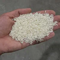 برنج طارم