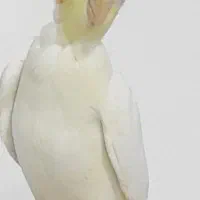 پرنده