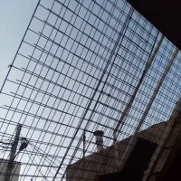 طور فنسی