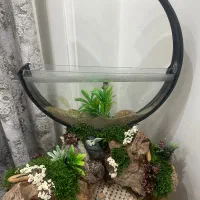 اکواریوم