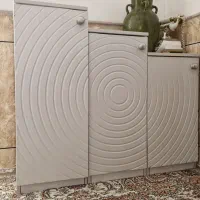 جاکفشی