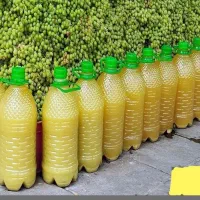 پخش عمده مستقیم ابغوره و آبلیمو و انواع عرقیات