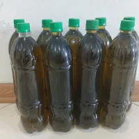 روغن زیتون فرابکر اصل رودبار کاملا اورگانیک