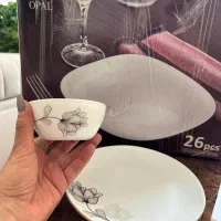 سرویس غذاخوری ارکوپال