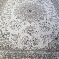 یک جفت ۱۲متری ۷۰۰شانه بی نظیر