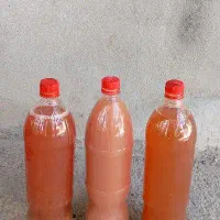 آبغوره طبیعی