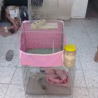 قفس پرنده