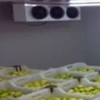 سردخانه بالای صفر جهت اجاره