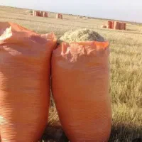 فروش یونجه و کاه گندم دیم