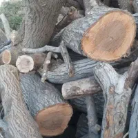 هرس باغ ، چوب بری ، برش درخت