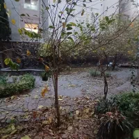 فروش کلنگی ۲۰۰ متری(پاسداران -نگارستان ها)