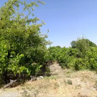 باغ و باغچه از ۲۰۰متر تا ۱۰۰۰متر به دلخواه