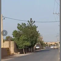 زمین-دو-نبش-علی-اباد-بر-خیابان-امام-غریی