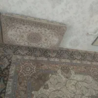 فرش شش متری 700شانه