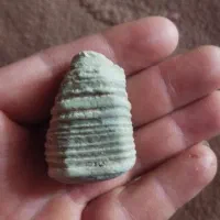 مهره  کلکسیونی