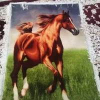 قالی بافی