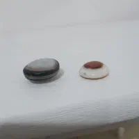 ترک
