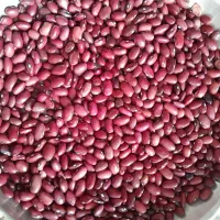 لوبیا قرمز ، نخود