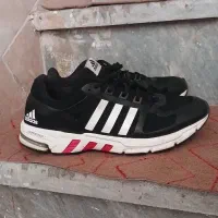 کتونی اکومنت