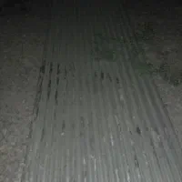 حلب درجه یک