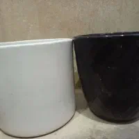 گلدان سالم