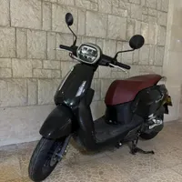 موتور پانارا ۱۲۵ مشکی